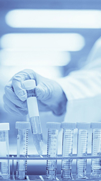 高（gāo）校研究院